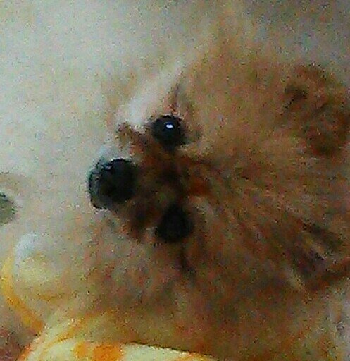 ラッキーさんのプロフィール画像