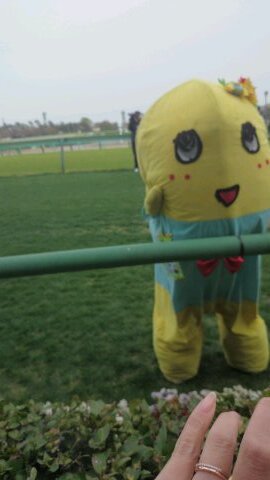 teamccs2310's profile picture. 