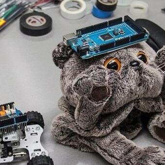 therobonora's profile picture. мы делаем роботов (: