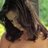 BeautifulHBabes's profile image