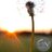 courtneynphoto's profile image