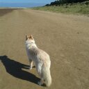 audrey hay - @ALLthingshaute - Twitter