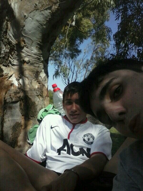 alfredofrailes's profile picture. 