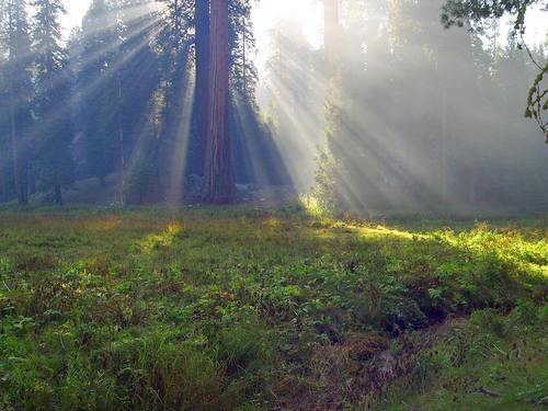 http://t.co/uUBXxmuqbC
Addressing Health of the Humanity in a Rational Manner by spreading the knowledge in easy to understand self exploratory way.