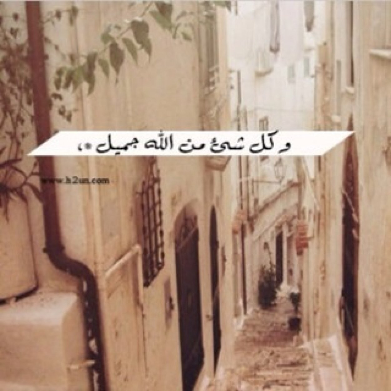لا اله الا آللّٰـٌـــــــهـ اتشرڤ بمتابعتكم. pin76A7AE41 وللواتساب /0500521852