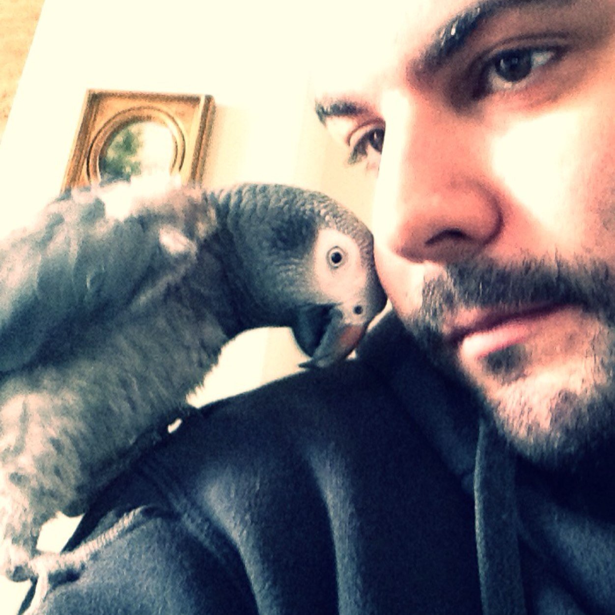 antonis7lowbap Profile Picture