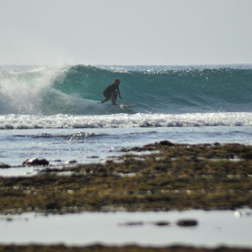 nicolewidjaja9's profile picture. 