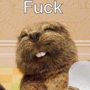 oliver grady  - @Olivergrady123 - Twitter