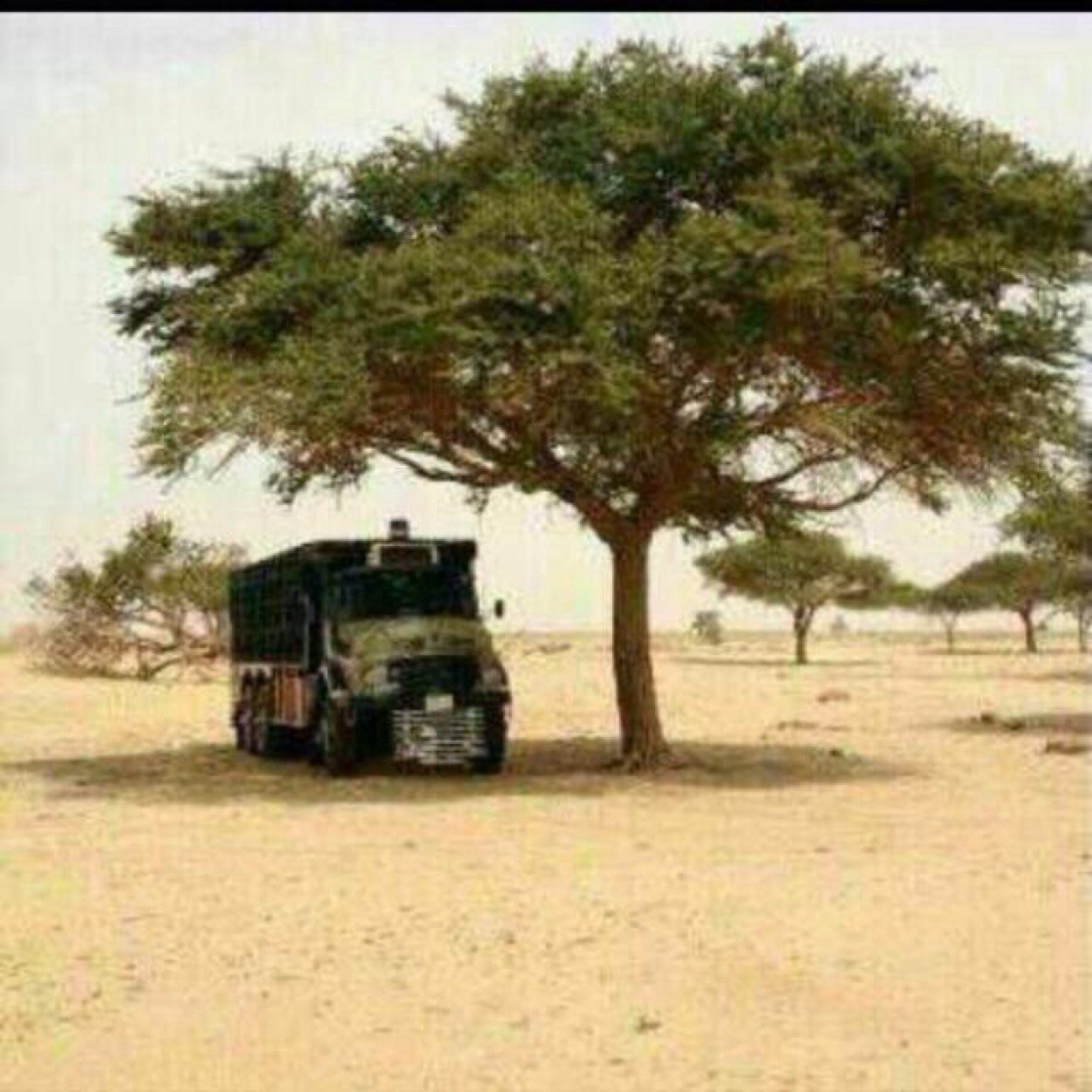 Yosaf5364's profile picture. 