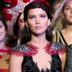 distrito 12, catnip, la chica en llamas, panem prim buttercup haymitch effie peeta gale... SINSAJO