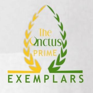 The Unctus Prime Exemplars-TUPE: is a Network poised at Inspiring believers to acknowledge God from their prime and live an Exemplary Life.