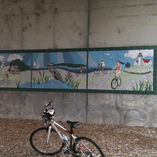 LynnCoish's profile picture. While I work full time, I am also Team Leader for a grass roots, all volunteer organization called Operation Clean Sweep.