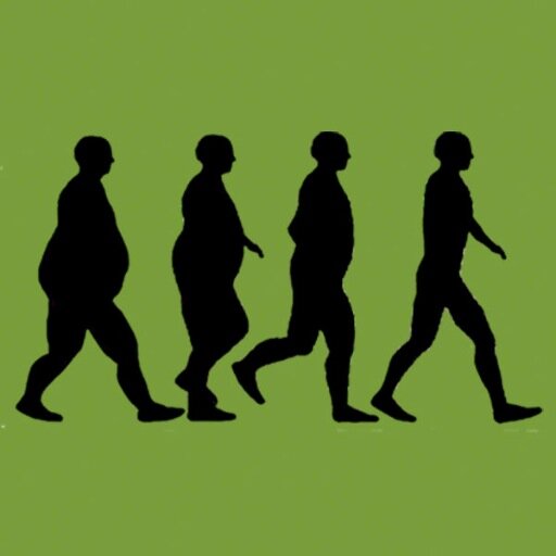 app_weightloss's profile picture. weight management