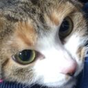 ぼら (@11ek8) Twitter