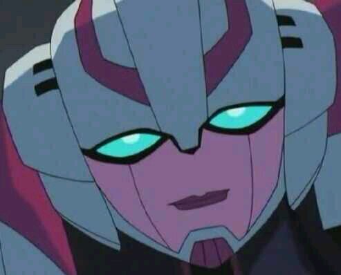 I'm TU R-C-687-040 but, you may call me Arcee.