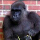 John Teston - @JohnTeston2014 - Twitter