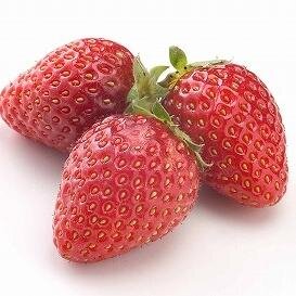今、話題のネタをつぶやいてます。