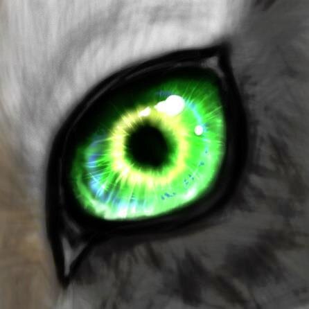 dvbking's profile picture. 