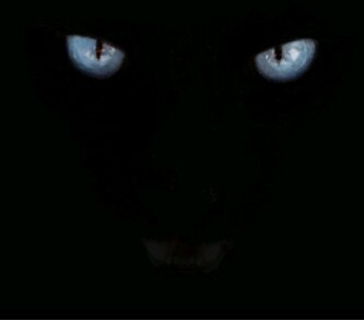 fritz_grobler's profile picture. 