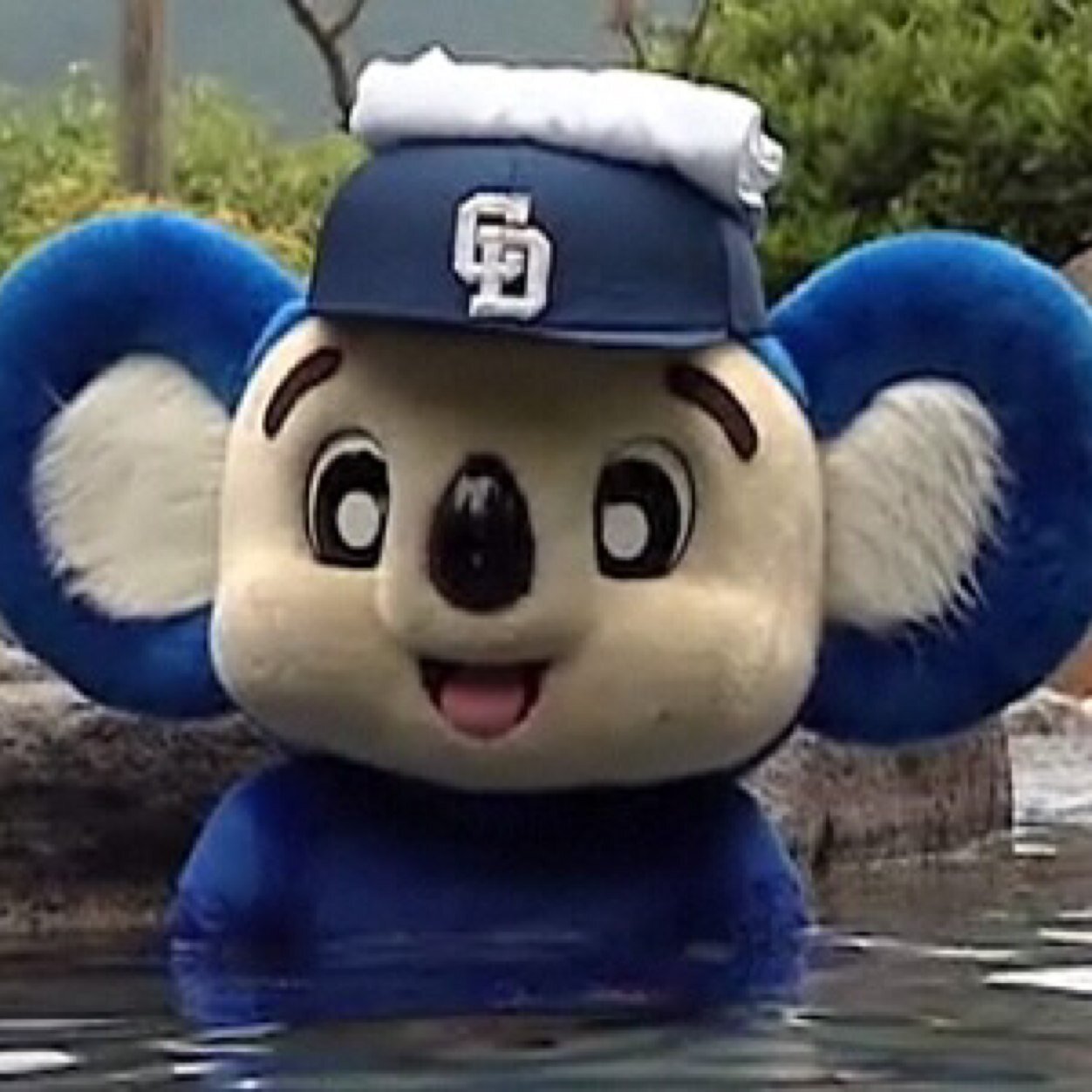 _mie3n_miesan's profile picture. ☆☆麺類 ( ´͈ ᗨ `͈ )◞☆☆ドラゴンズ ( •̀ .̫ •́ ) ☆☆悩める主婦(˶‾᷄ ⁻̫ ‾᷅˵)笑顔でいられる人生作り中