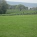 Nicholaston Farm (@nicholastonfarm) Twitter profile photo Nicholaston Farm (@nicholastonfarm) Twitter profile photo