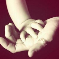 Datos aquí (@datosmas) 's Twitter Profile