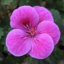 Marta Sierra - @EtchartM - Twitter