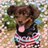 nako40's profile image