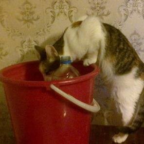 ByKseni's profile picture. 