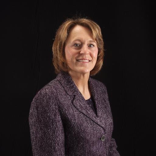 School Superintendent, Northeast Metro 916 Intermediate School District, Partners in Education