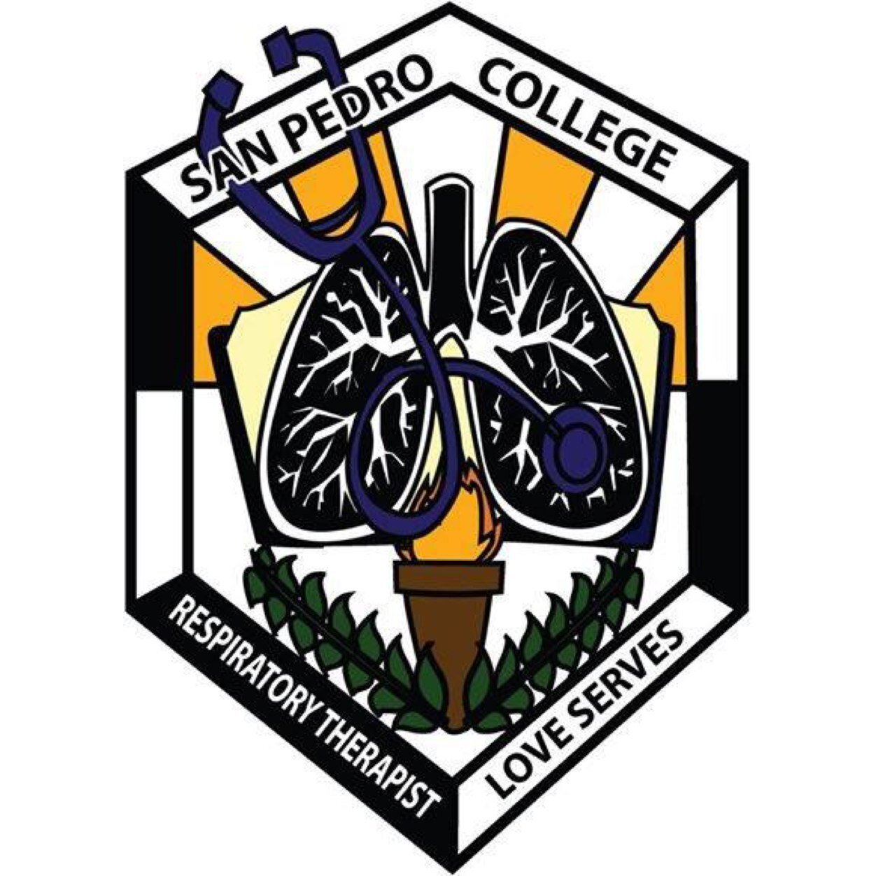 The official Twitter account of San Pedro College's Socio-Medical Association of Respiratory Therapy Students!