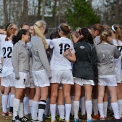 echhsWsoccer's profile picture. 