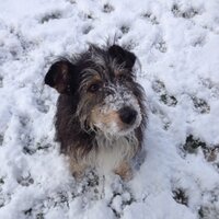 Teresa (@tmaryh) 's Twitter Profile