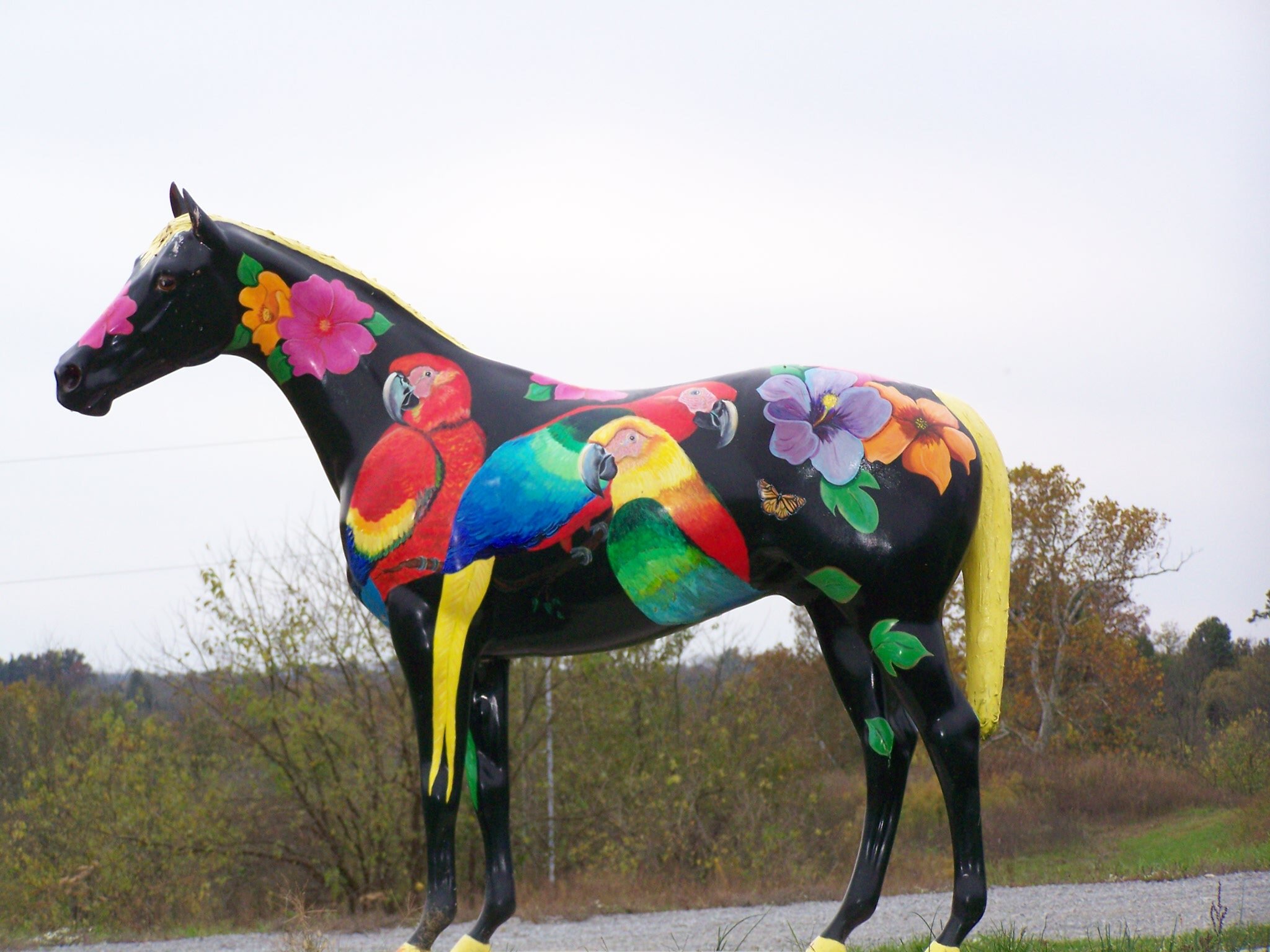 CampHorsin's profile picture. Camp Horsin’ Around supports organized groups to provide an outdoor camp adventure for children whose health is compromised or who have special needs.