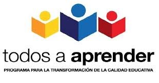 Formadora Programa Todos a Aprender