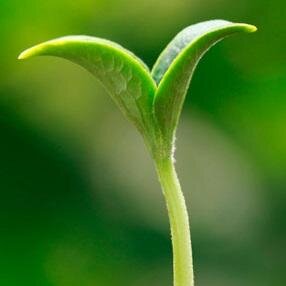 HealthierChurch's profile picture. Sometimes it's hard to be a #church. We help increase #stewardship, clarify vision, engage members, develop leadership & #ministry. Dr. @ed_kruse #chsocm #GenF