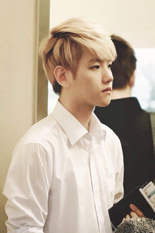 อันย๊องงงงฮ๊ะ! XD ผม EXO-K 백현 BAEKHYUN แบคฮยอน ลูกหมาผู้น่ารัก แถมทั้งหล่อ นิสัยดี ถึงผมจะคุยไม่เก่ง แต่ลองคุยกับผมก่อนแล้วค่อยฟอลก็ได้นะคับ :)