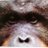 jpierrelassalle's profile image