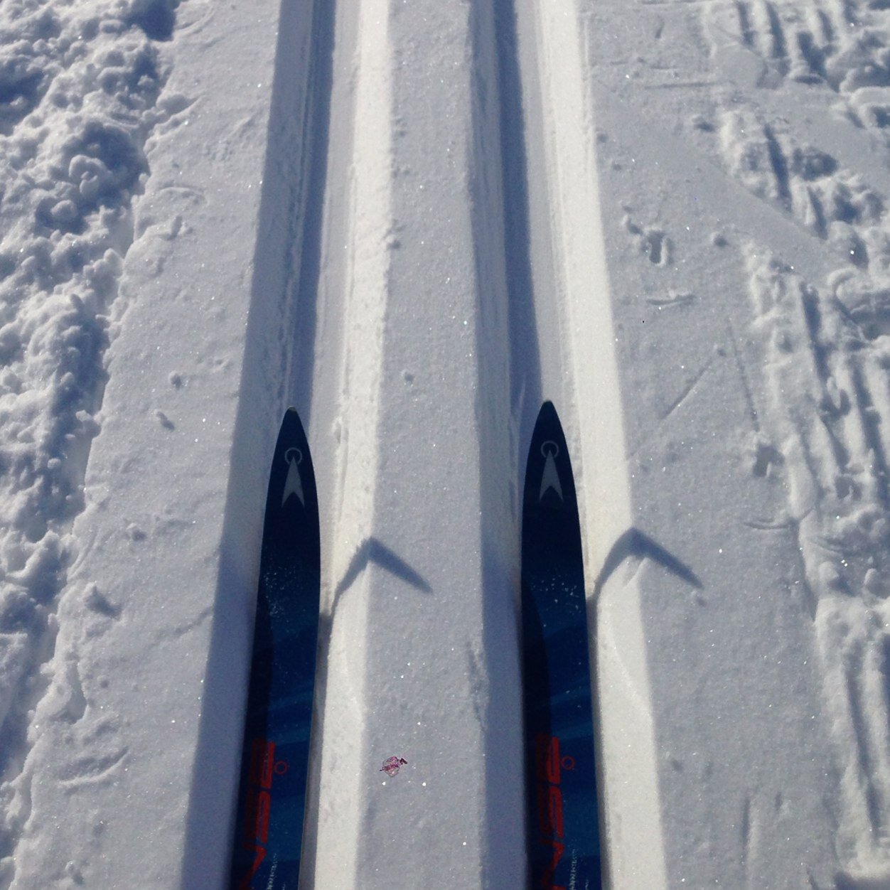 HallfridLind's profile picture. 