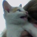 molly mccormack - @happywheels00 - Twitter