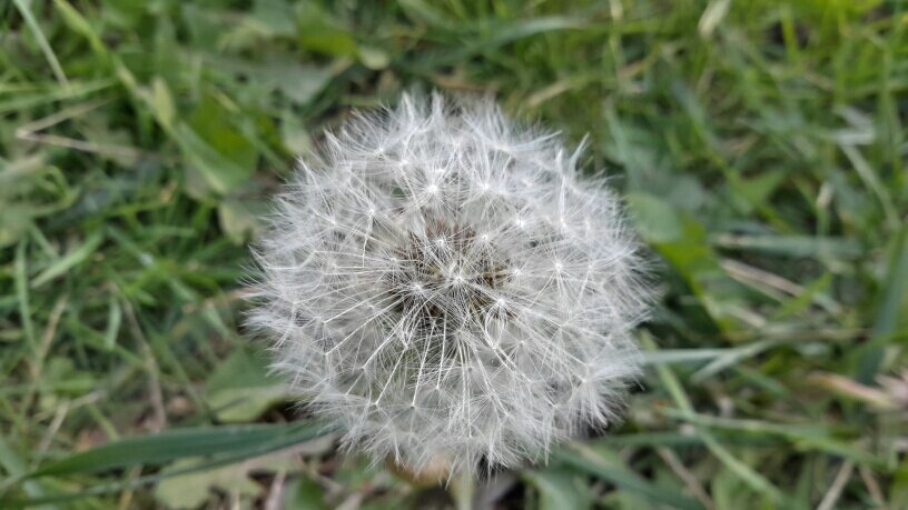 nurayca20's profile picture. 