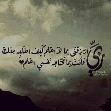 ‏‏امرأة تعشق التميز والتفرد, ثقتي  بالله هي سر نجاحي, لا امثل أي احد سوى ذاتي, اعشق العلم وتطوير ذاتي, كل تجربة درس تضيف الي وكل كسر يقويني وكل يوم هو يوم جديد