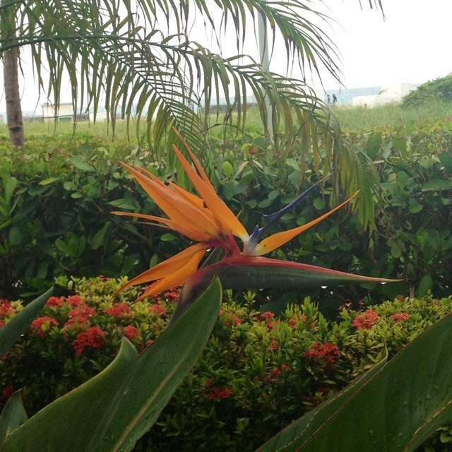 jnjmartin4's profile picture. 