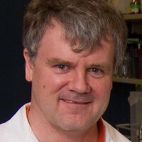 Neil Hogg (@neilhogg2) 's Twitter Profile
