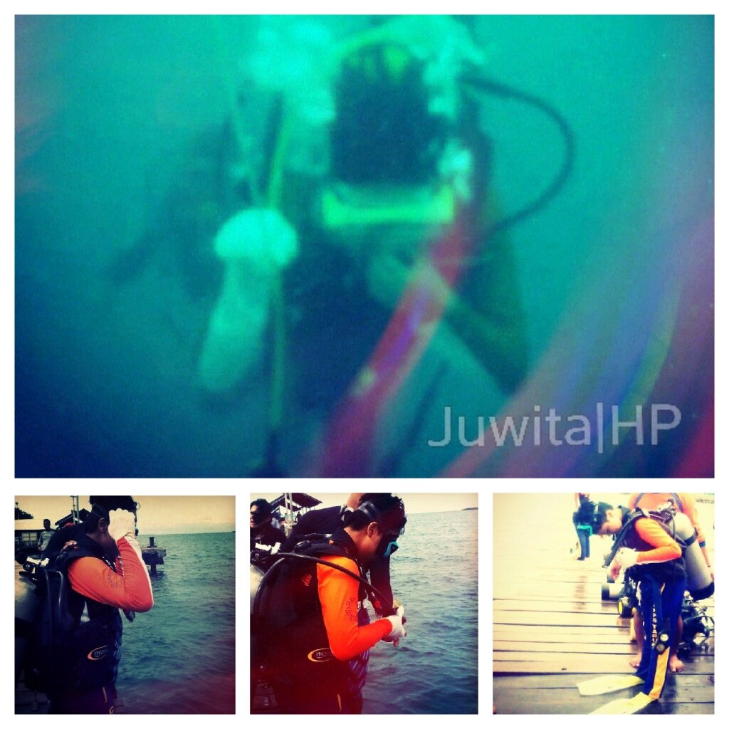 PUBLIC RELATION and SCUBA DIVER ★ || Life is a maze and love is a riddle || This is my life. My soul. The purpose of my existence #yeah