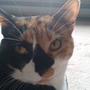 Ashley Meeks - @AshleyMunks - Twitter