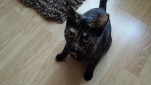 jona_1970's profile picture. ( Chef kok )