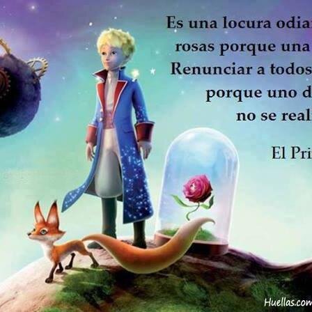 jorcas04's profile picture. 