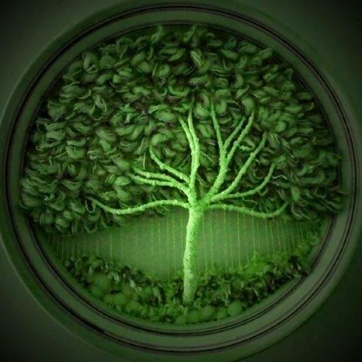 TheHealingTree's profile picture. - Healing from the Heart Through the Art of Touch  |                             #Massage&BodyworkSchool  |  #StudentMassage Sessions  |  #CE Classes