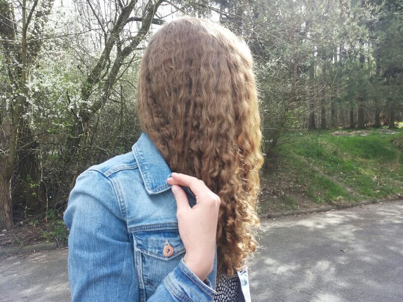 PatiSpringRoll's profile picture. -Have you seen my unicorn?- 16 years, eating all day